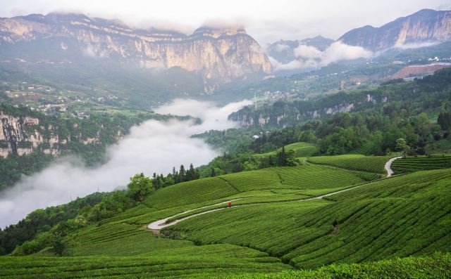 土家族苗族自治州风景图